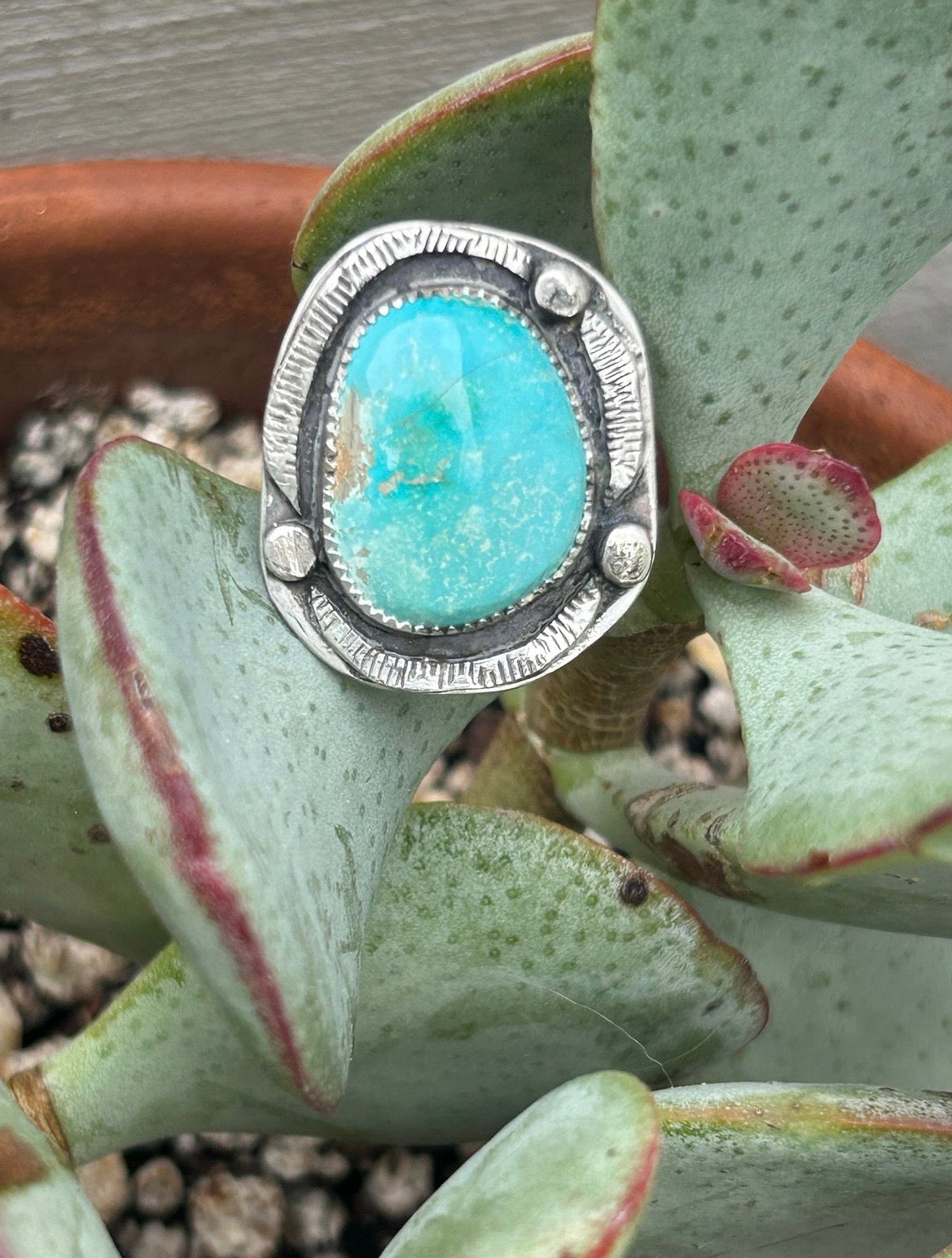 Arizona Turquoise Shadowbox Ring