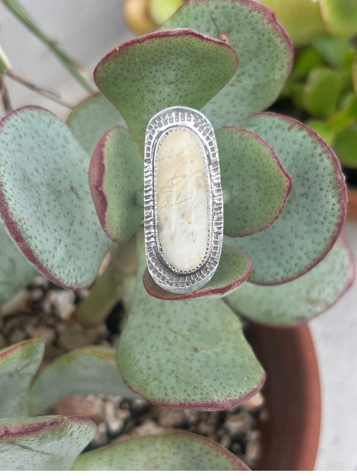 Willow Creek Jasper Ring