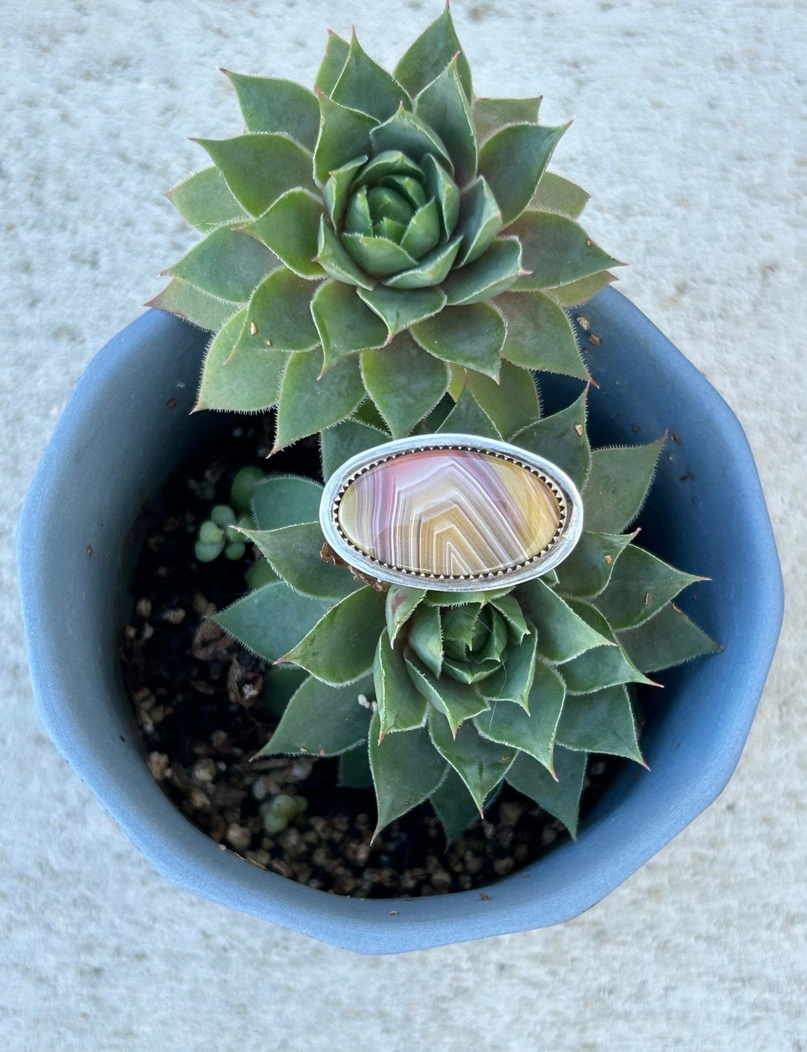 Laguna Agate Horizon Ring