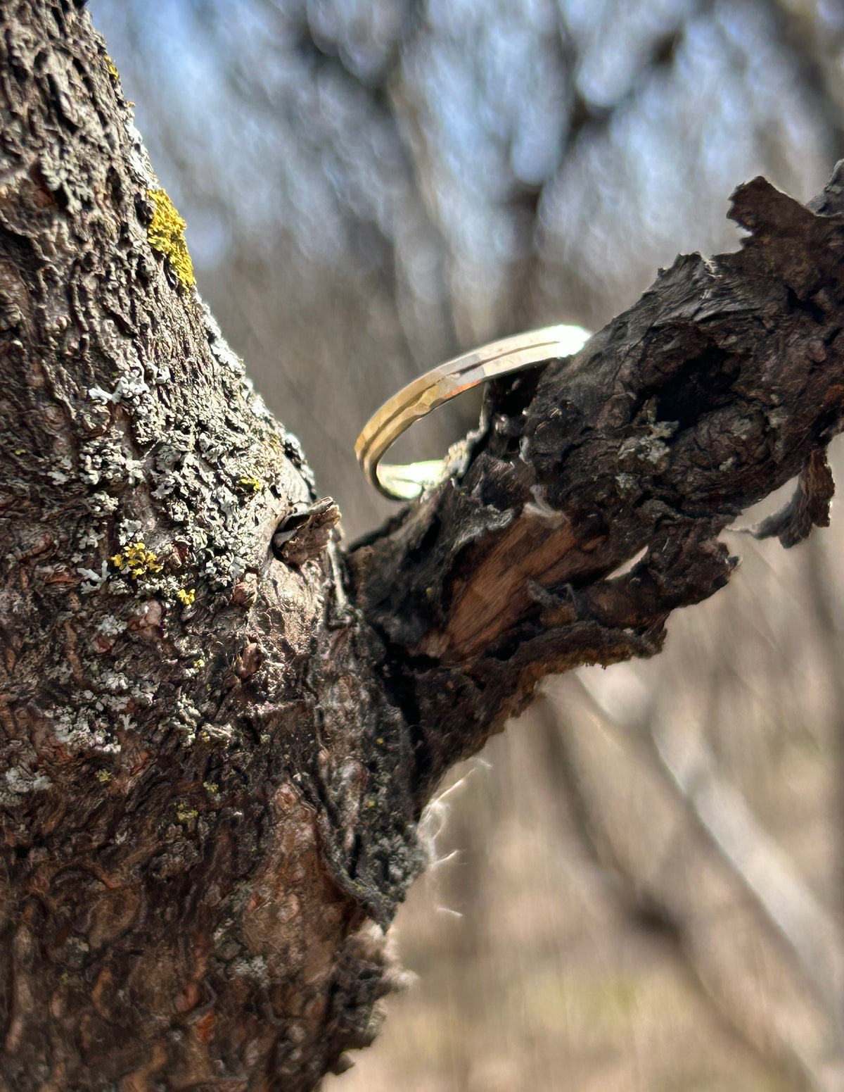 Simple 14k gold hand hammered ring.