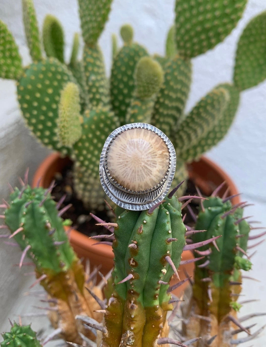 Fossilized Coral Ring