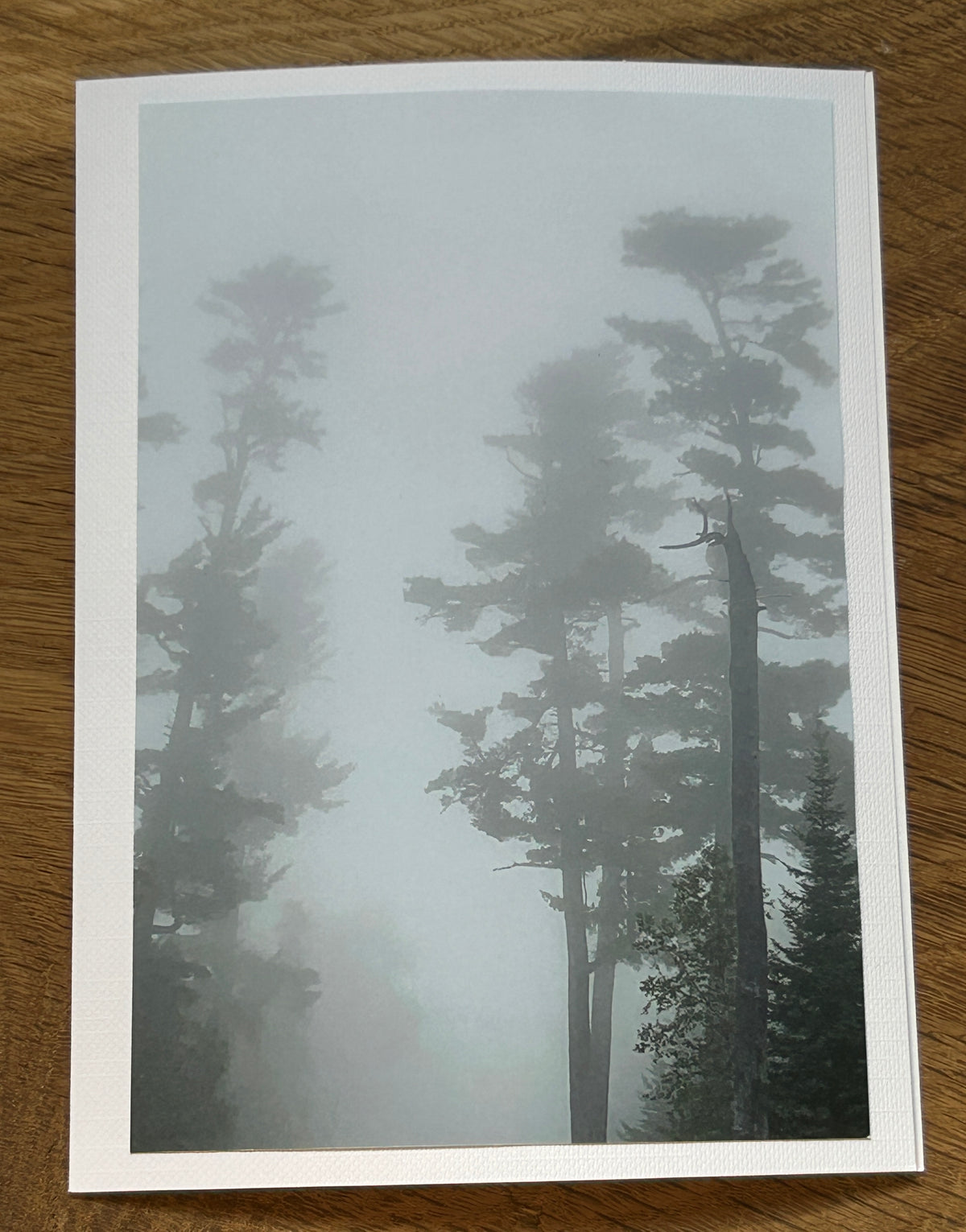Gunflint trail, Minnesota.