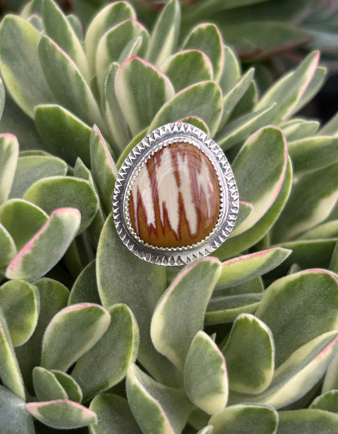 Owhyee Jasper Ring