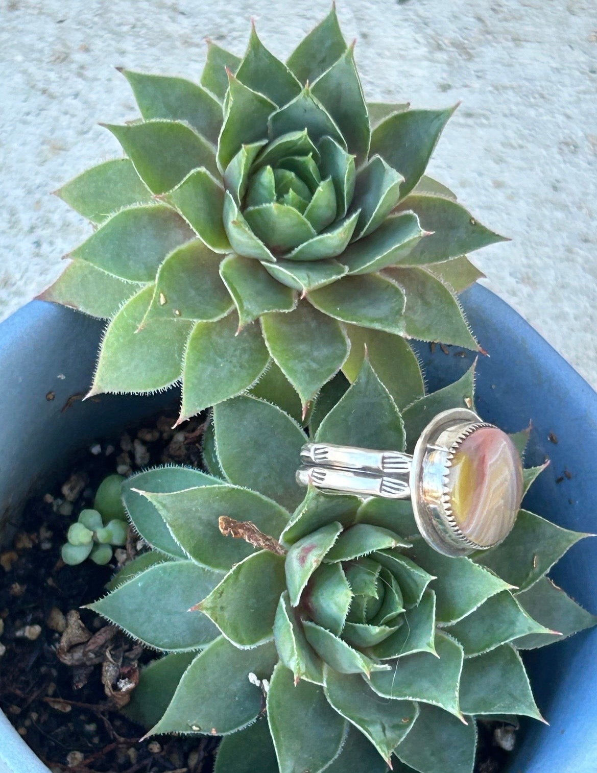 Laguna Agate Horizon Ring