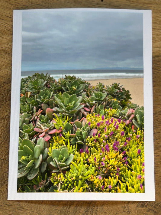 Monterey, California.