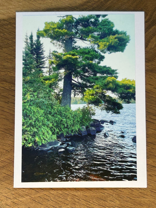 BWCA, Minnesota.