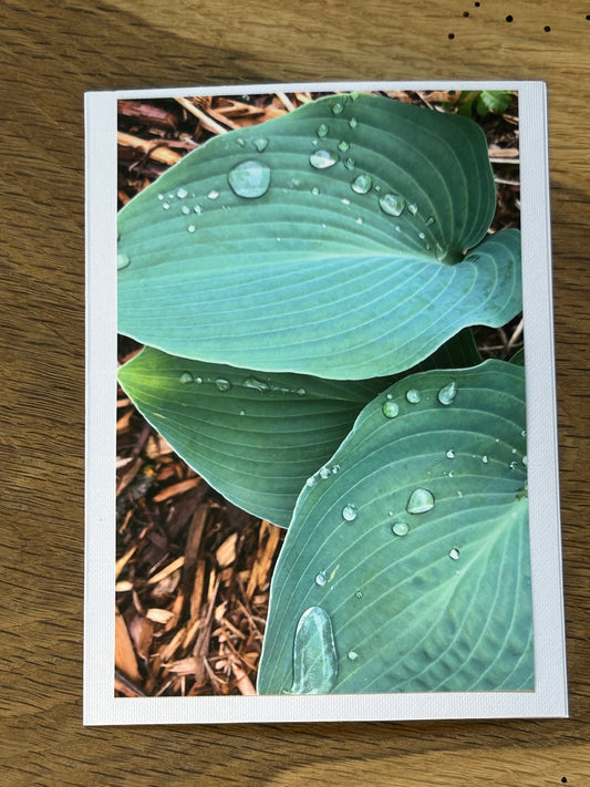 Minnetrista, Minnesota.