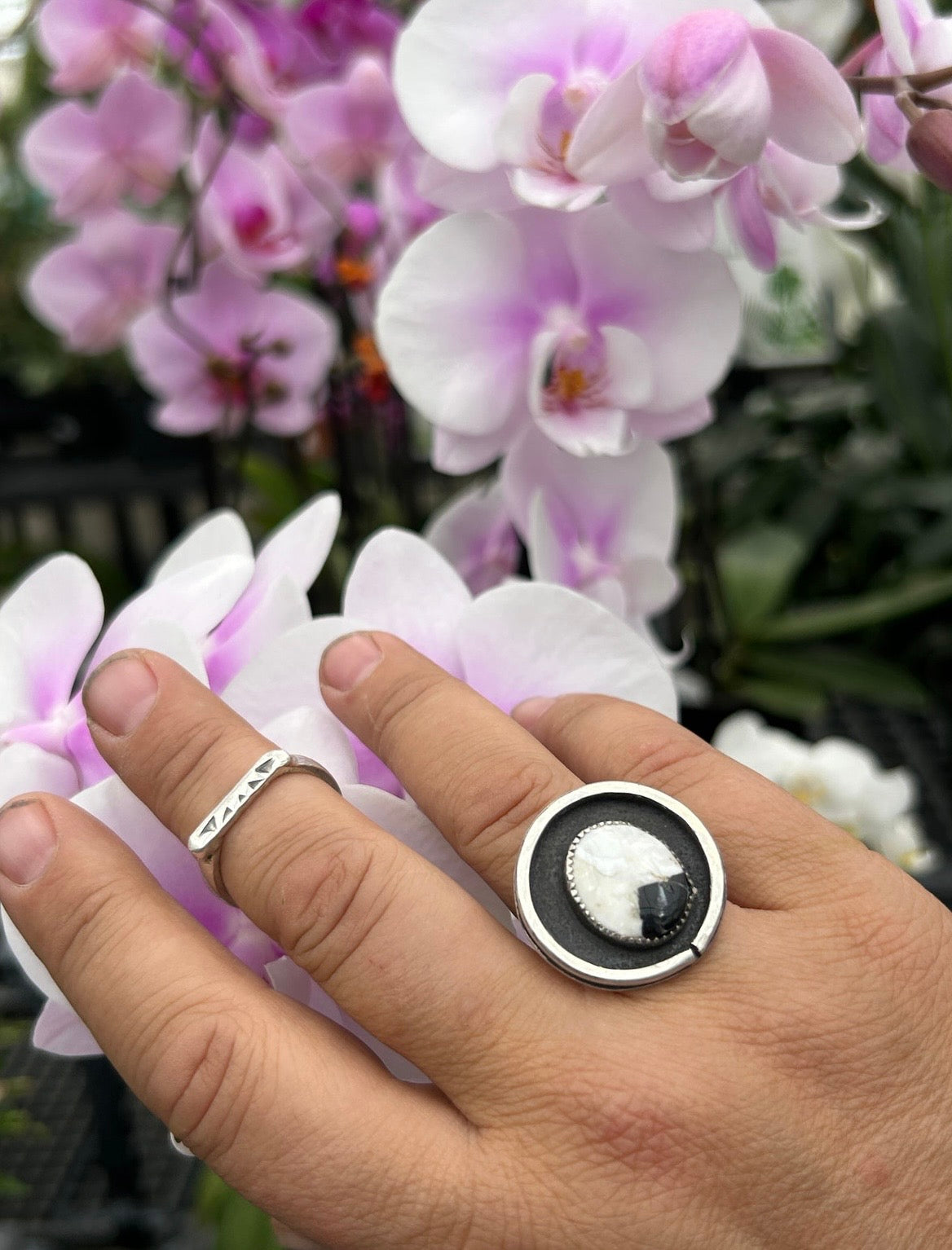 White Buffalo Shadowbox Round Ring