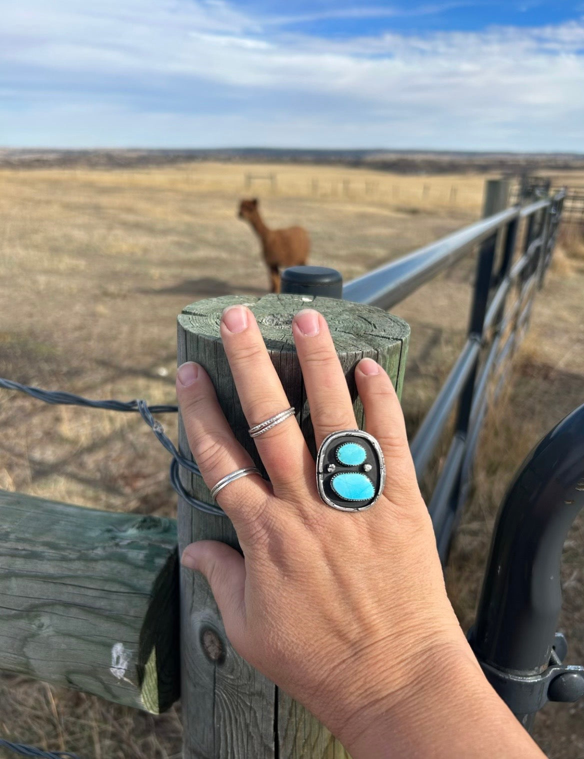 Double Sierra Bella Turquoise Shadowbox Ring