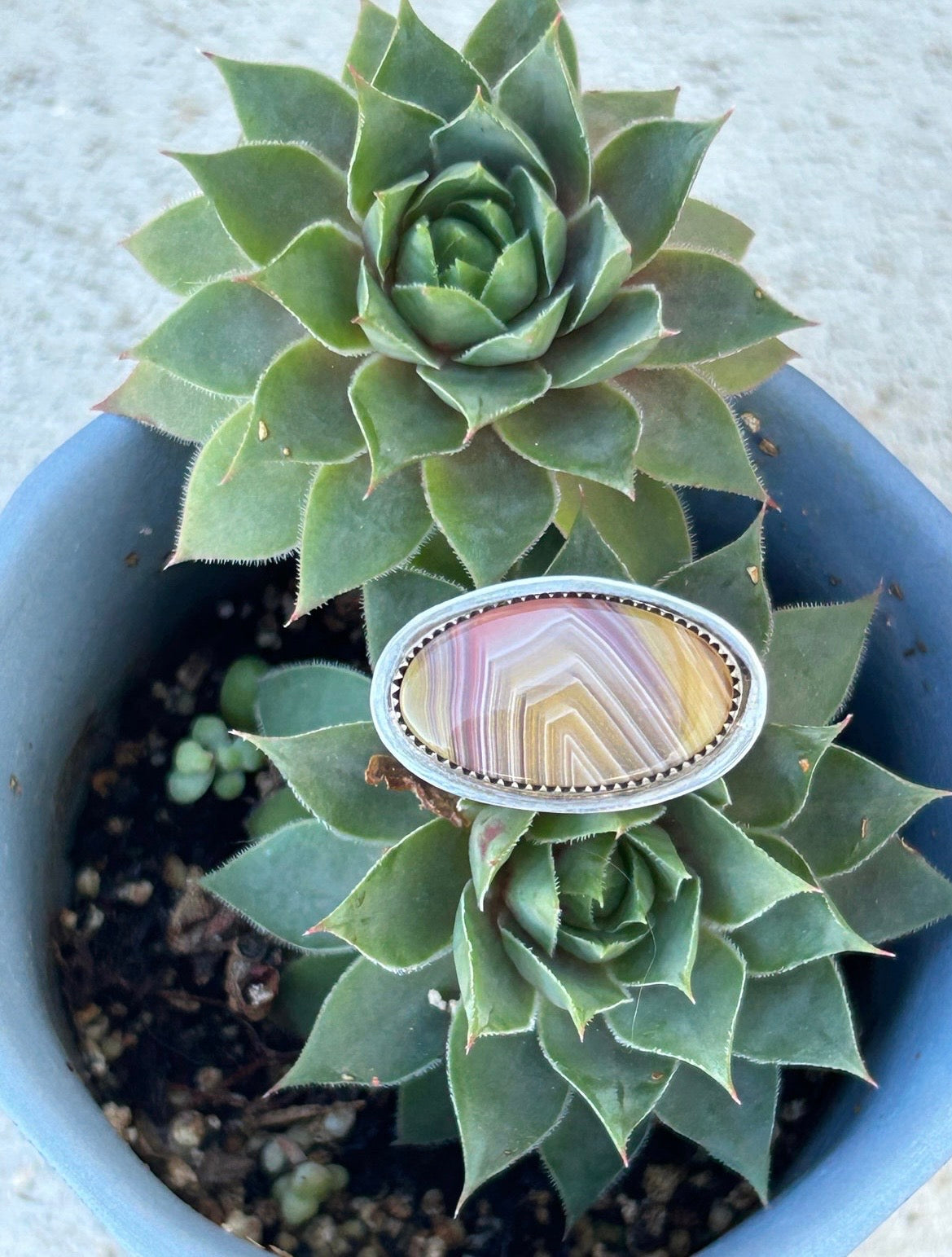 Laguna Agate Horizon Ring