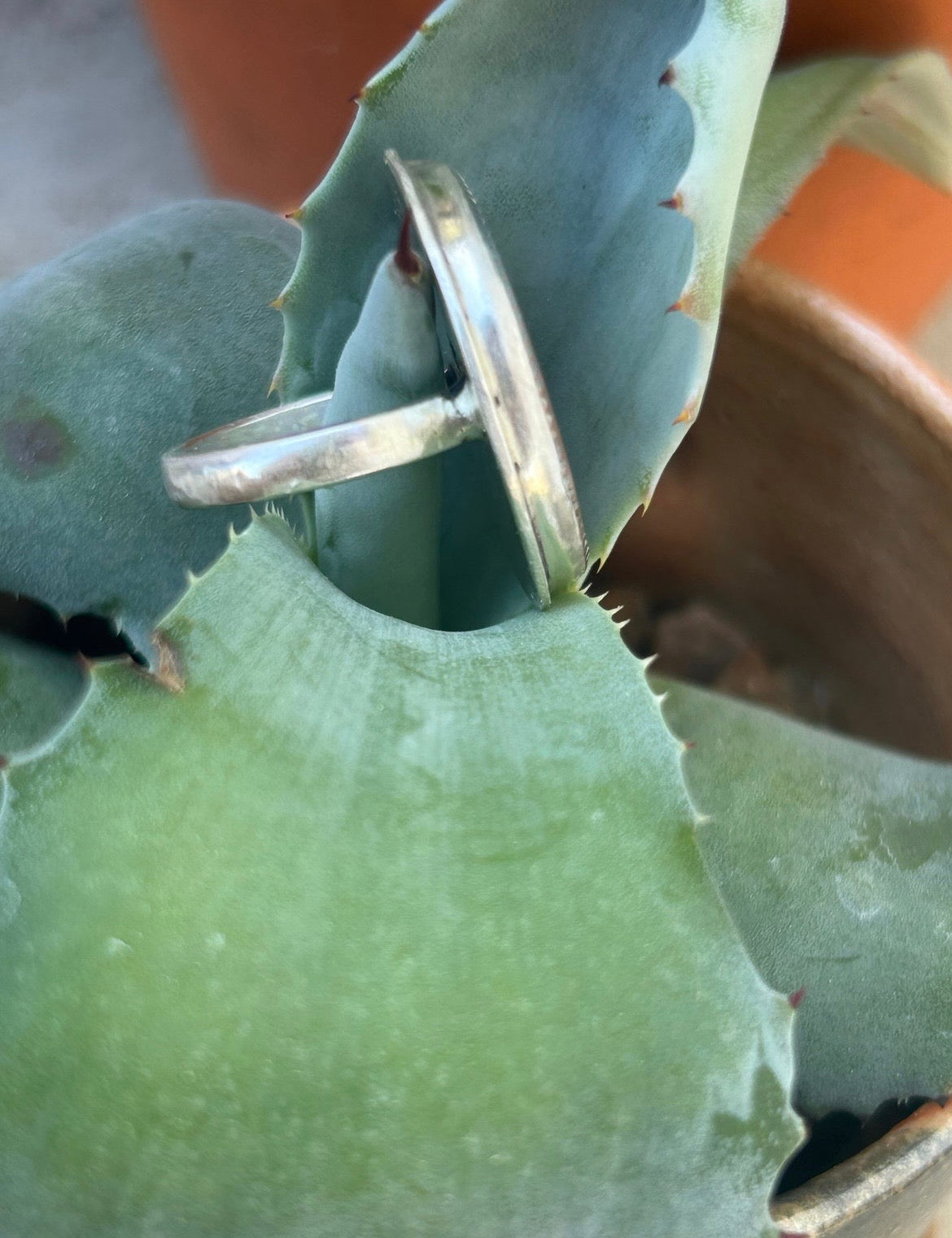 Laguna Agate Round Ring
