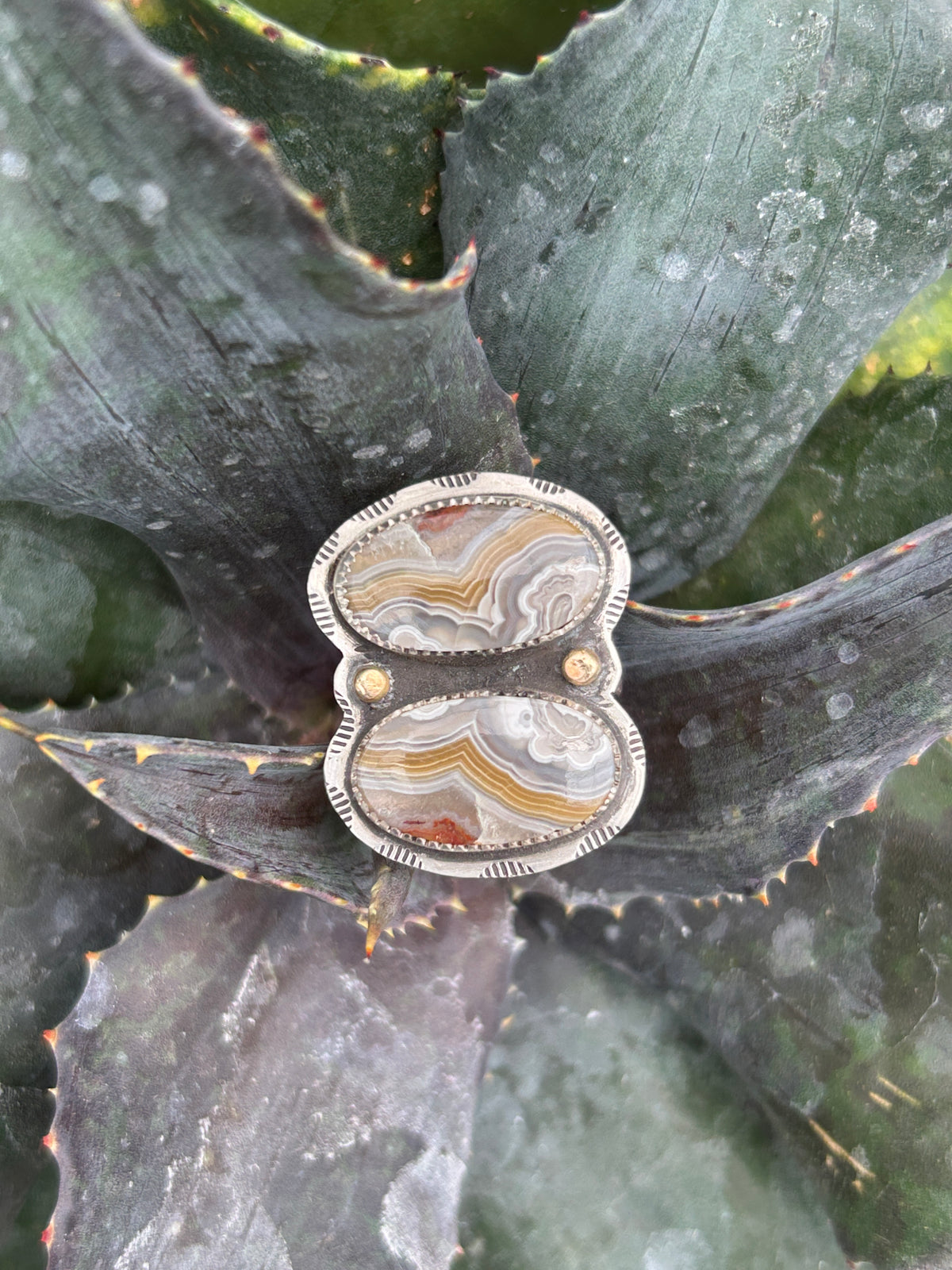 Crazy Lace Agate Gold & Silver Ring