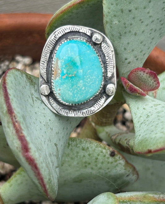 Arizona Turquoise Shadowbox Ring