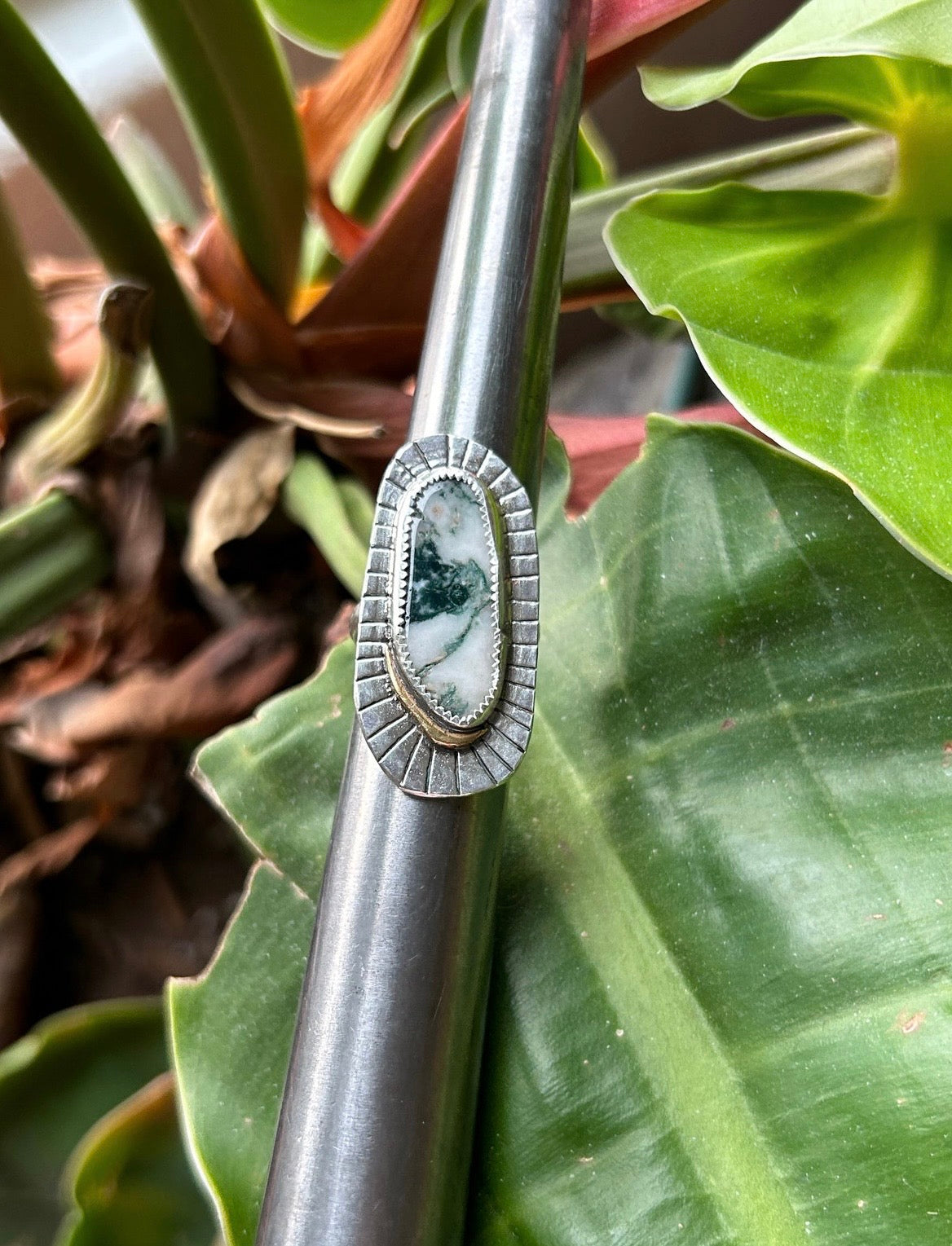 Tree Agate Ring