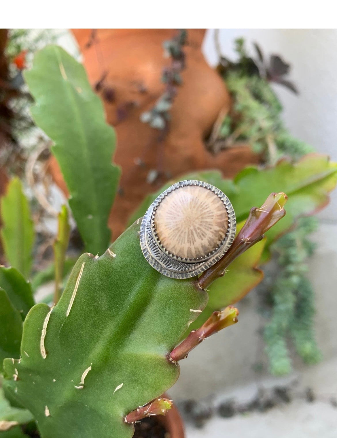 Fossilized Coral Ring