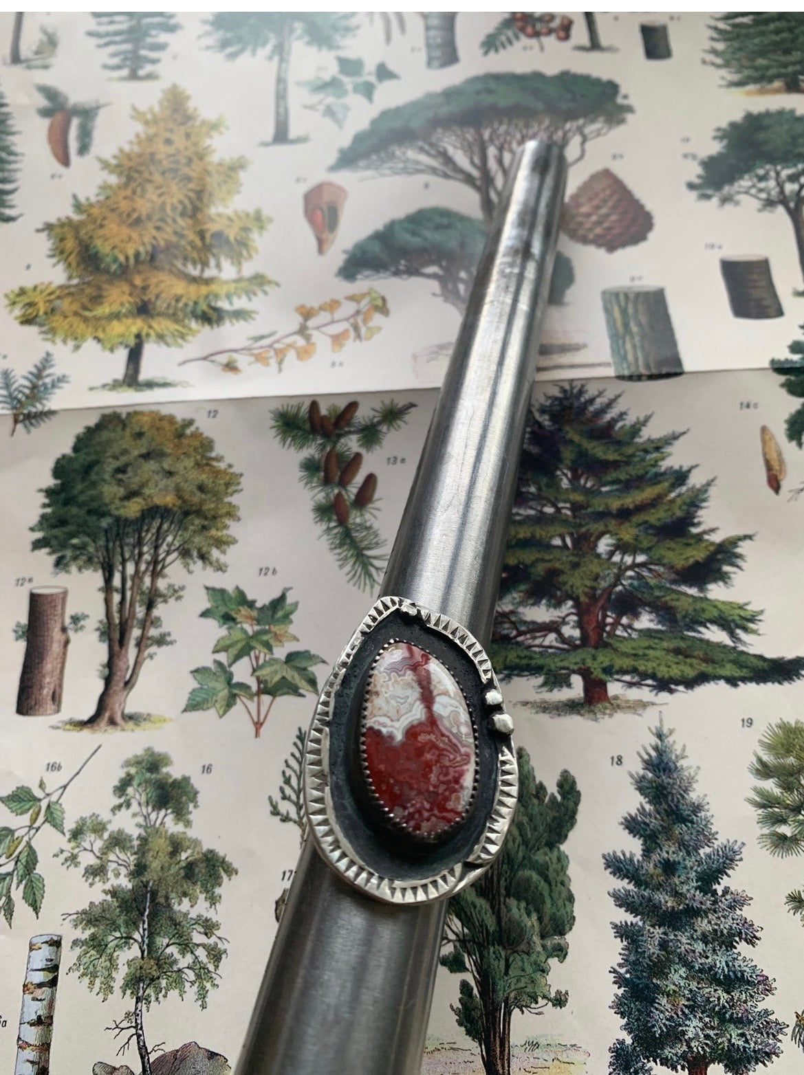 Crazy Lace Shadowbox Agate Ring