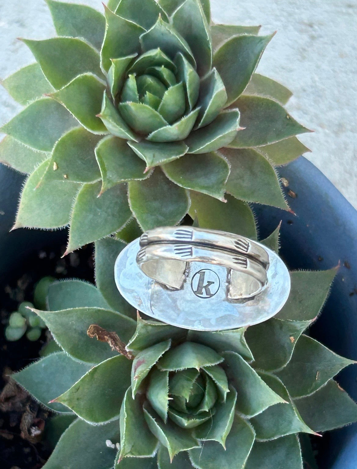 Laguna Agate Horizon Ring