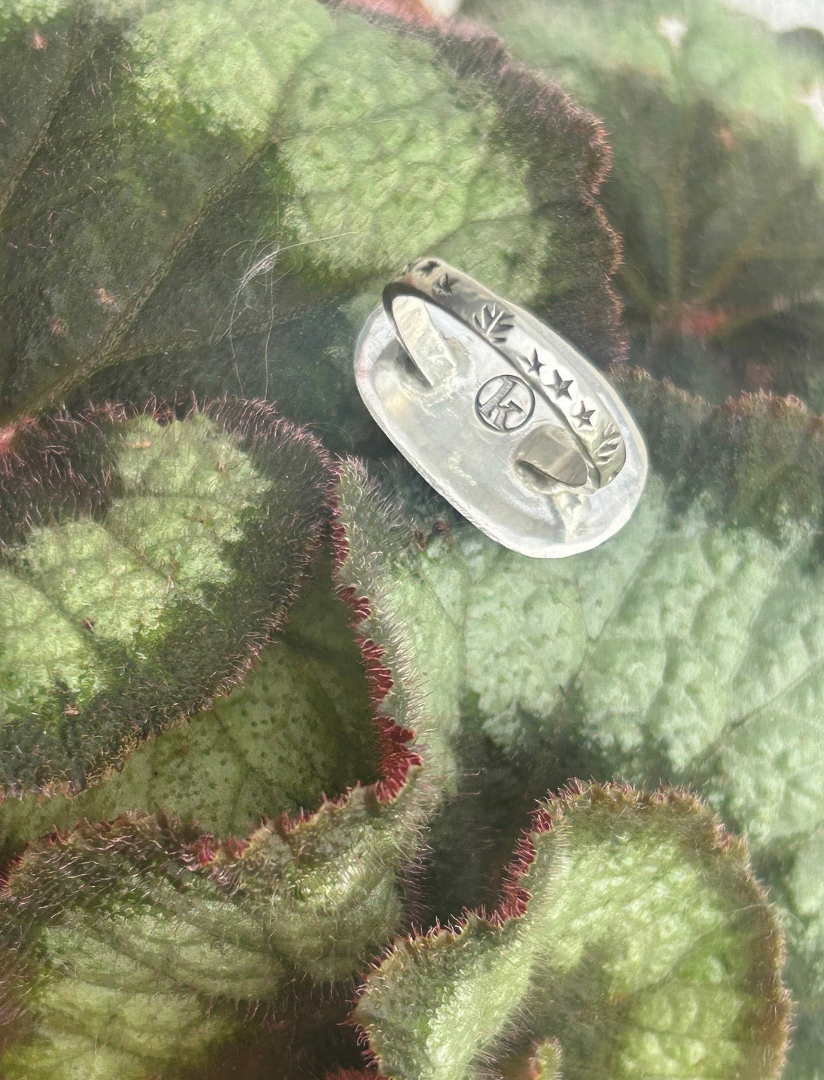 Horizontal Variscite Ring
