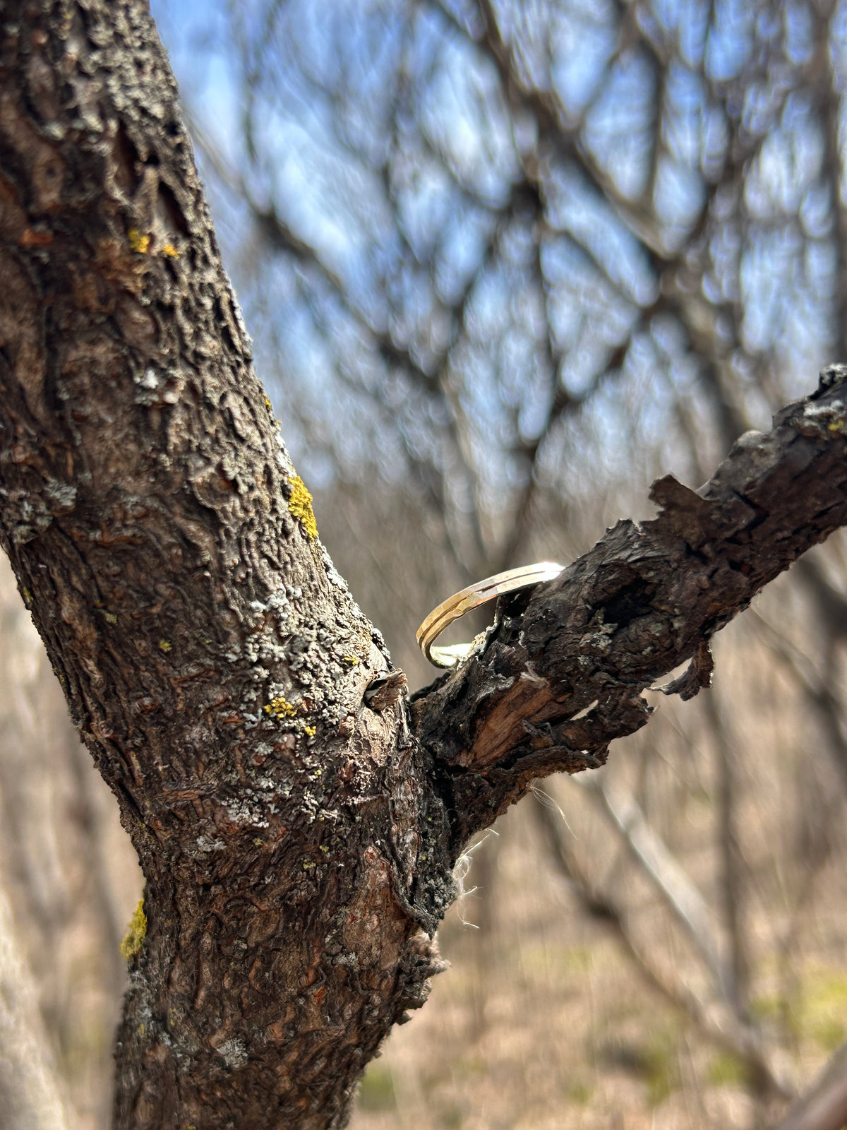 Simple 14k gold hand hammered ring.