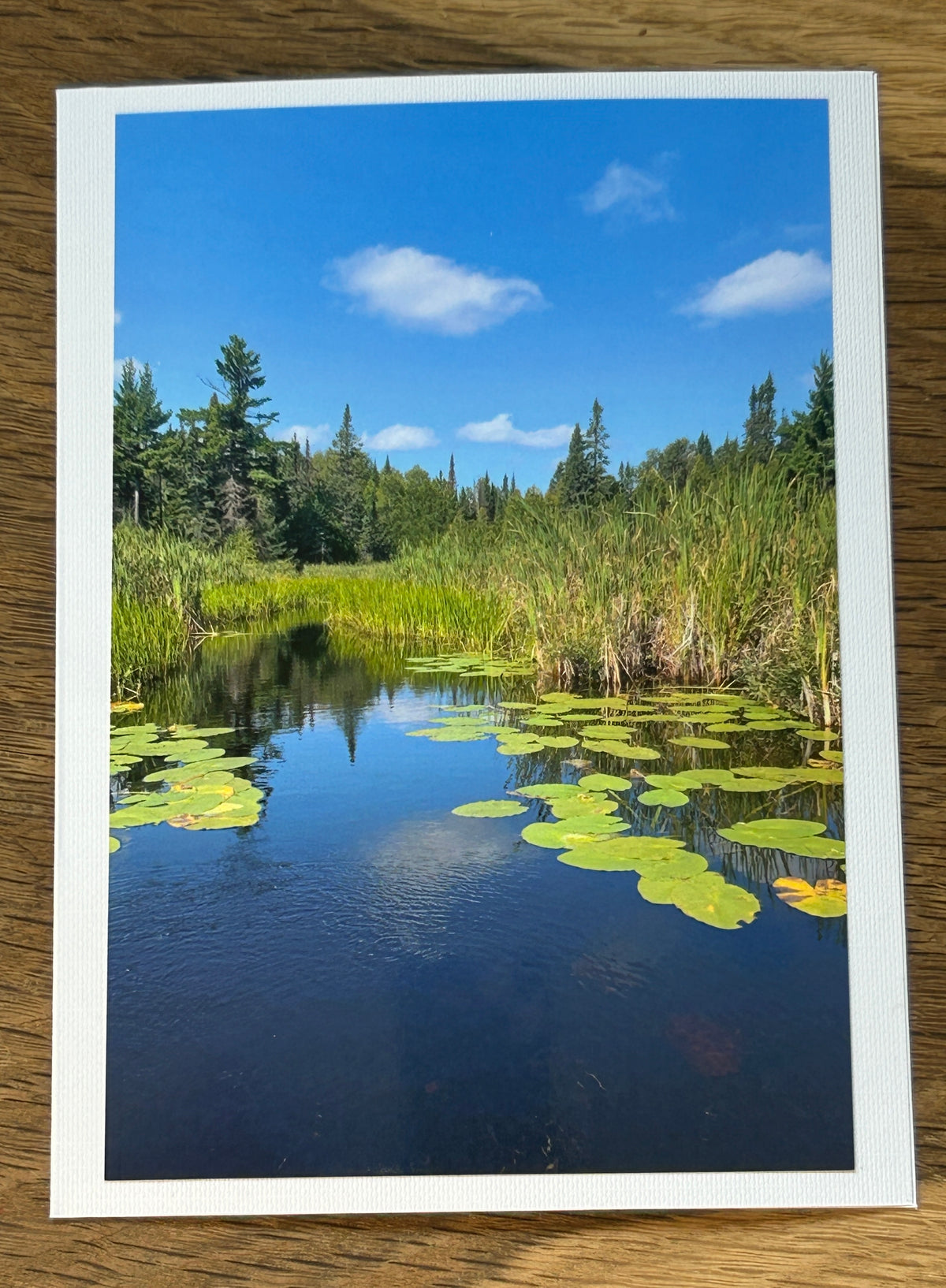 BWCA, Minnesota.