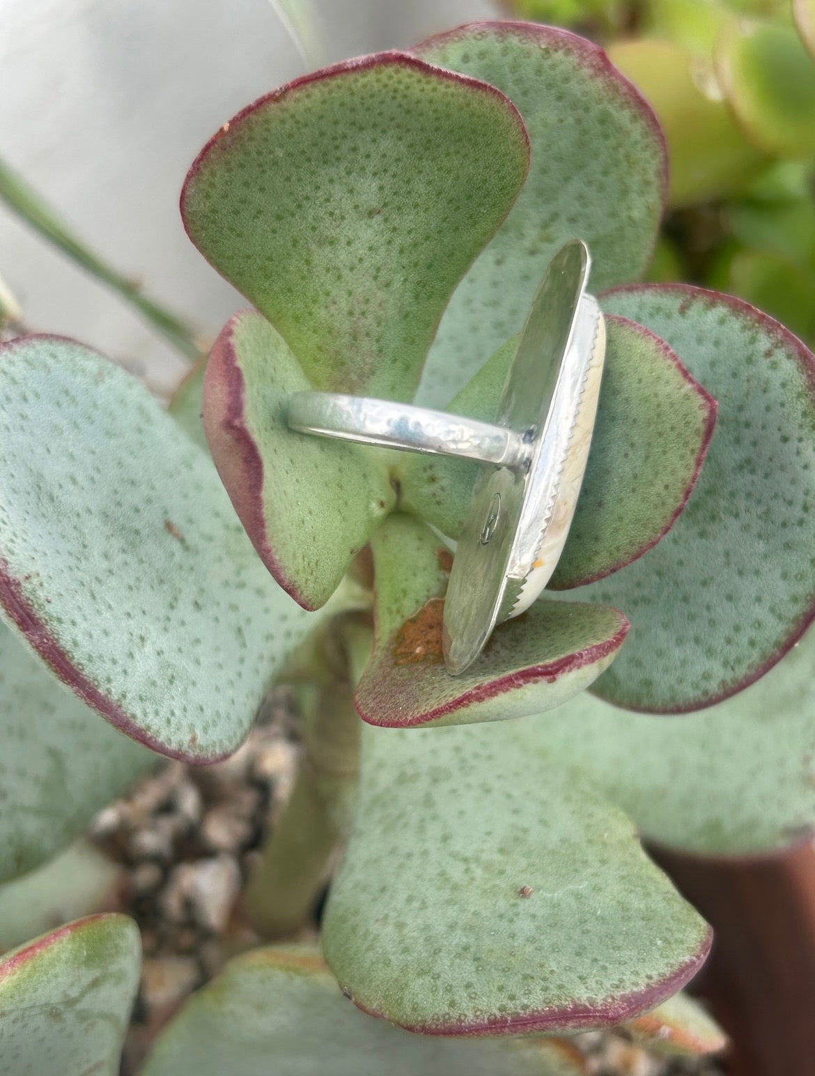 Willow Creek Jasper Ring