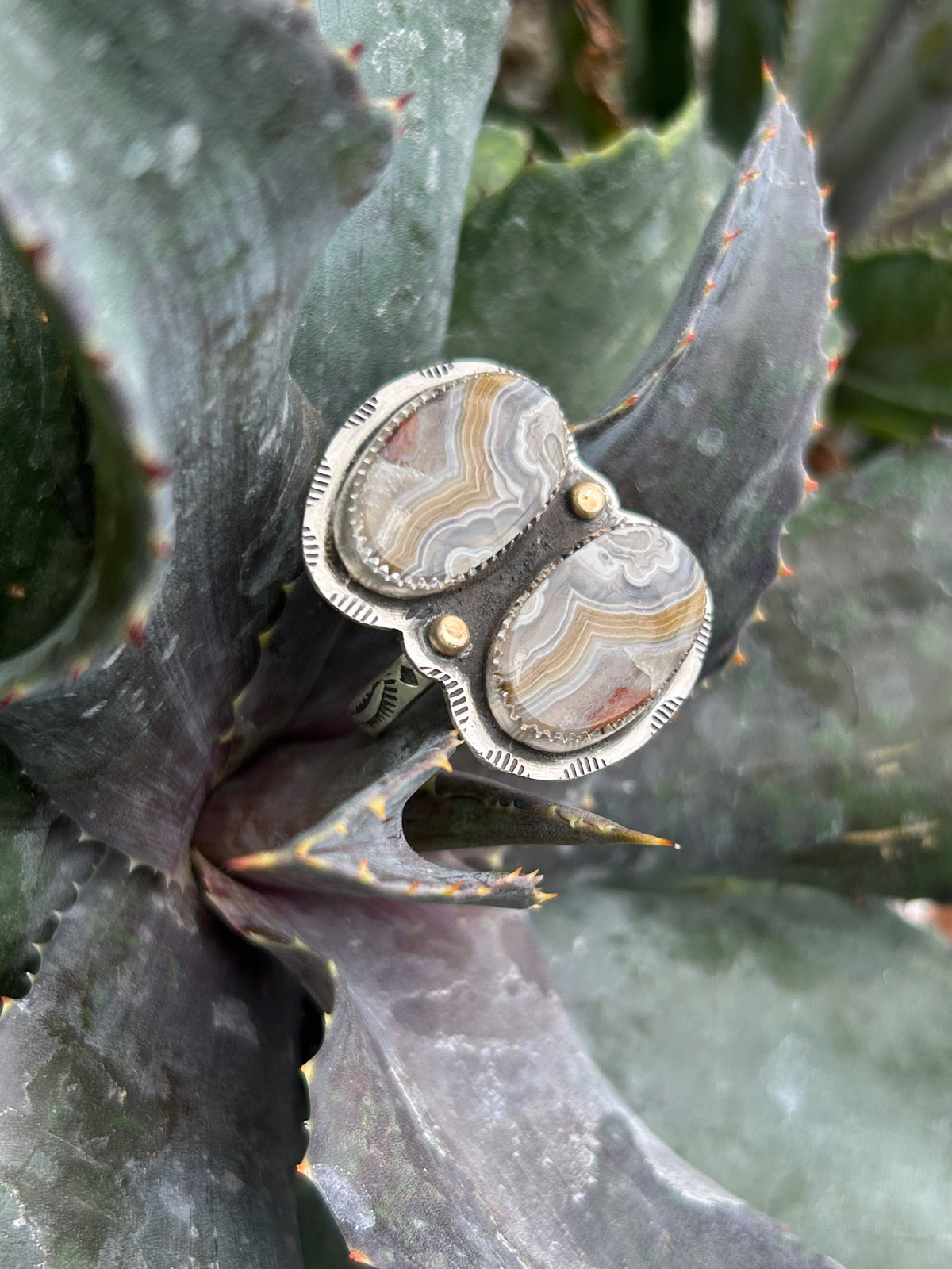 Crazy Lace Agate Gold & Silver Ring