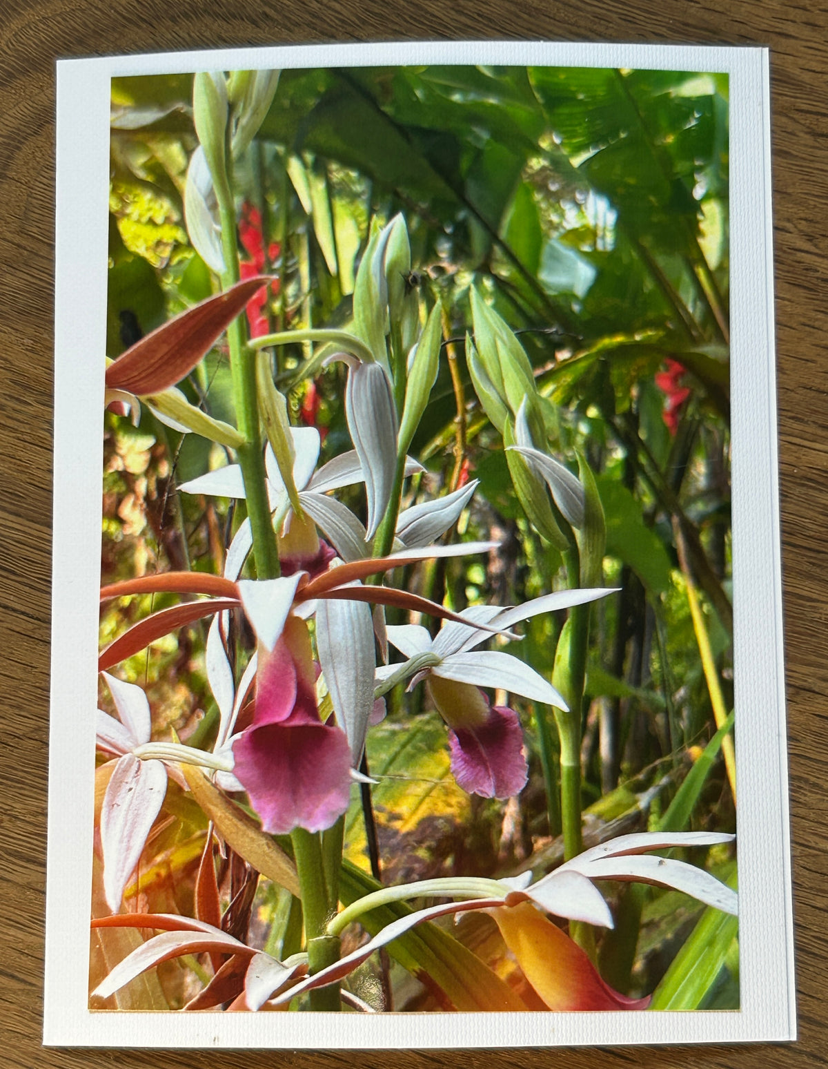 San Ramon, Costa Rica.