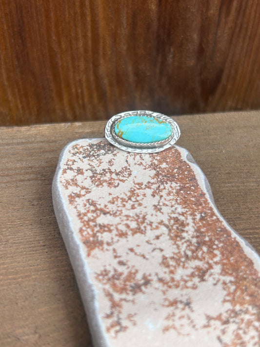 Horizontal Turquoise Ring.