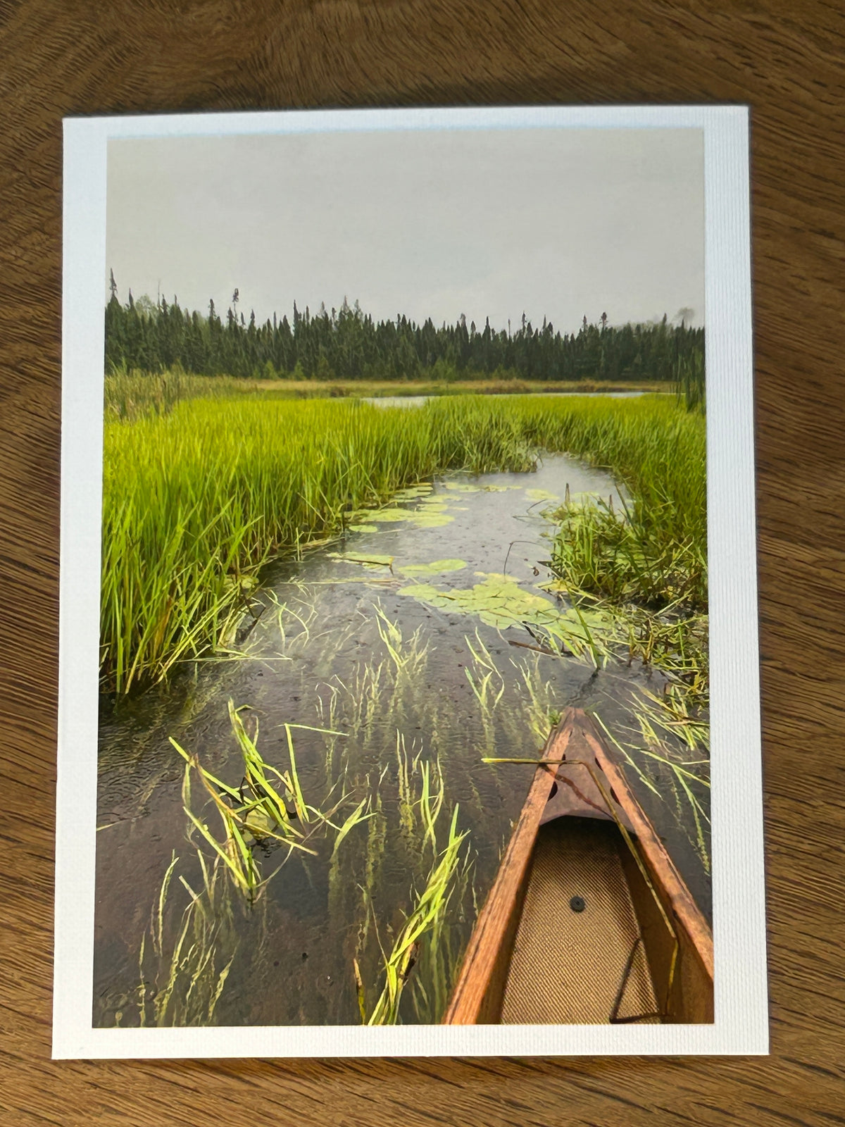 BWCA, Minnesota.
