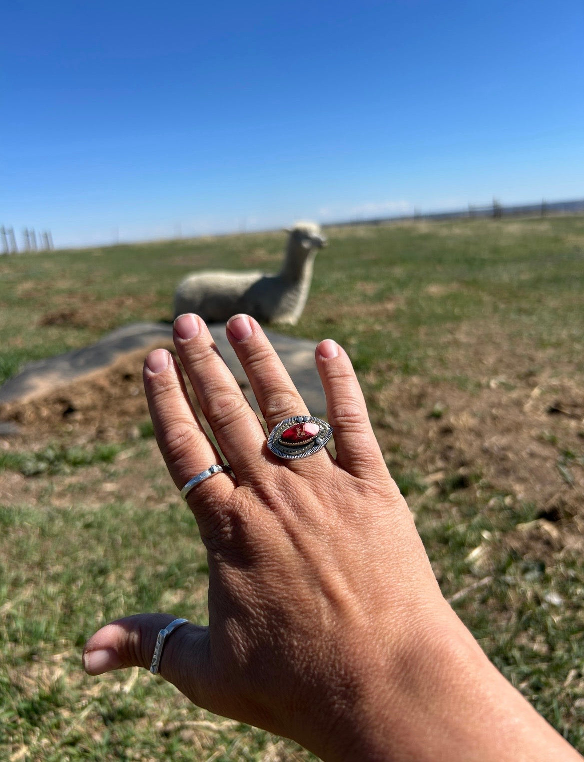 Kingman Red Dahlia Turquoise Ring