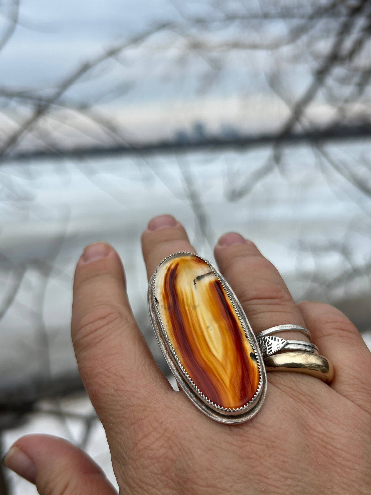 Montana Agate Ring