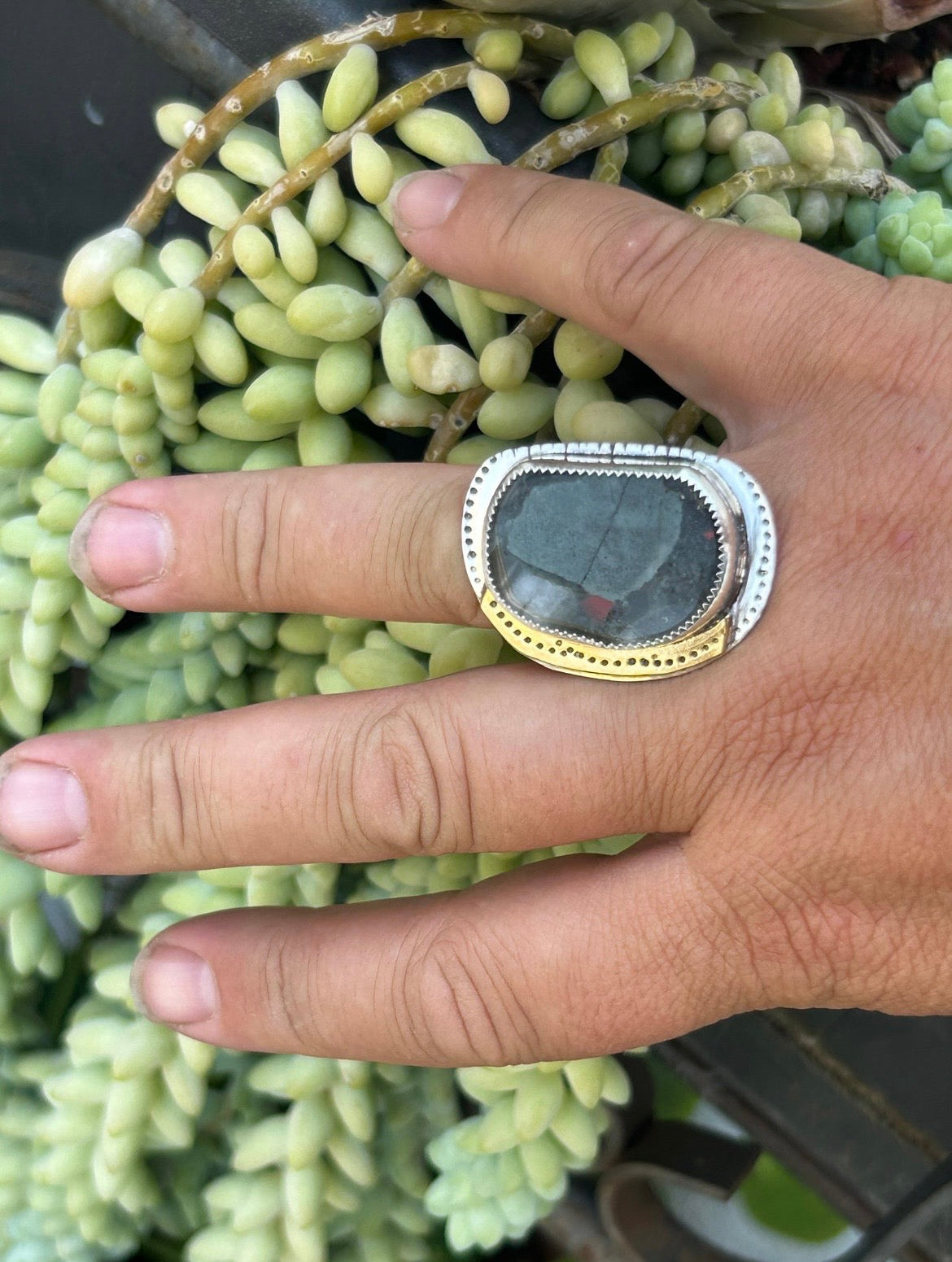 Bloodstone Jasper Ring